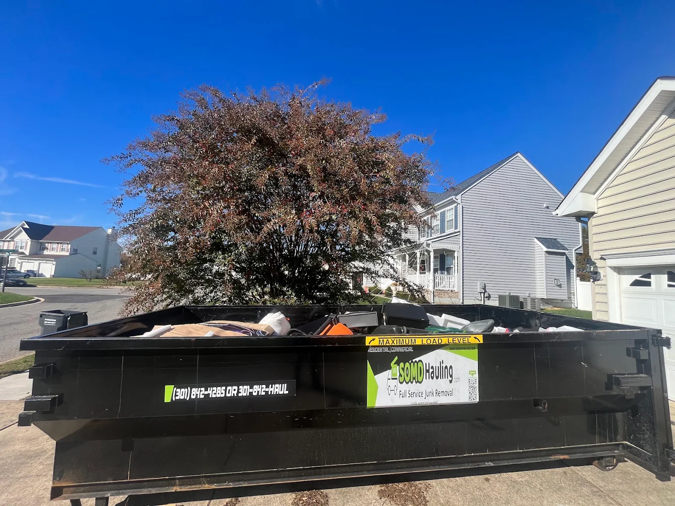 The fence, the brush pile, and the corner of the yard you stopped looking at.